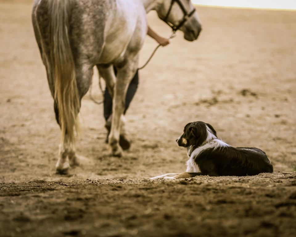 Western Pleasure Guest Ranch Sandpoint Zewnętrze zdjęcie