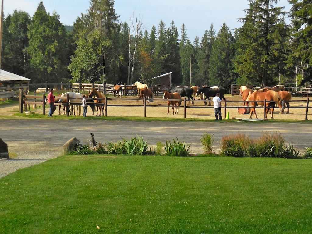 Western Pleasure Guest Ranch Sandpoint Zewnętrze zdjęcie